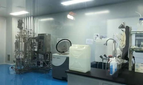 全市觀摩聚焦高新，兩大計(jì)算機(jī)技術(shù)開發(fā)項(xiàng)目亮點(diǎn)紛呈